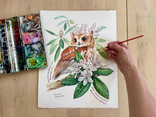 Screech Owl and Rhododendron - Waterproof Sticker