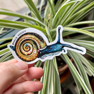 Blue Snail Waterproof Sticker