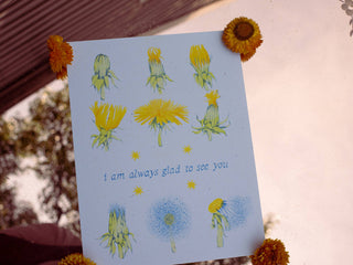 Dandelion Phases: I am always glad to see you