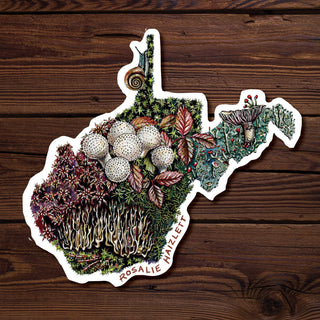 West Virginia Forest Floor - Waterproof Vinyl Sticker