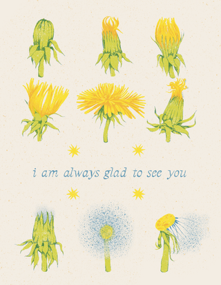 Dandelion Phases: I am always glad to see you