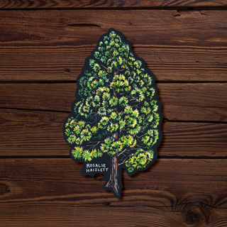 Ponderosa Pine Waterproof Sticker