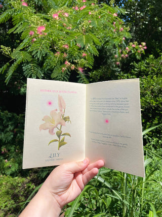 Historically Queer Flowers Zine  *1st Reprint