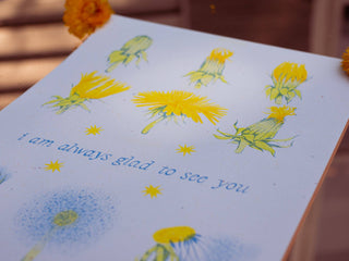 Dandelion Phases: I am always glad to see you