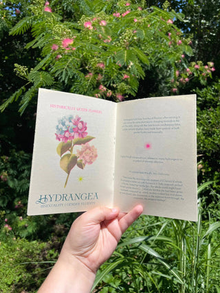 Historically Queer Flowers Zine  *1st Reprint
