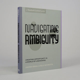 Navigating Ambiguity