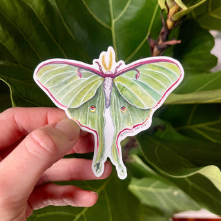 Luna Moth Waterproof Sticker