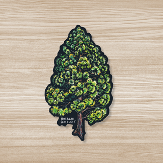 Ponderosa Pine Waterproof Sticker